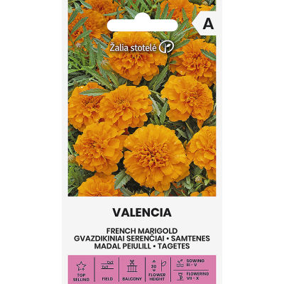 Fløyelsblomst frø VALENCIA