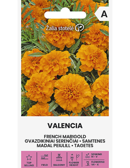 Fløyelsblomst frø VALENCIA
