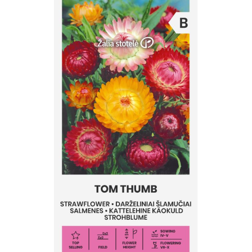 Høststråblomst TOM THUMB