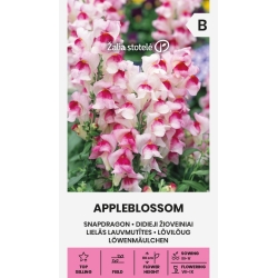 Prydløvemunn APPLEBLOSSOM