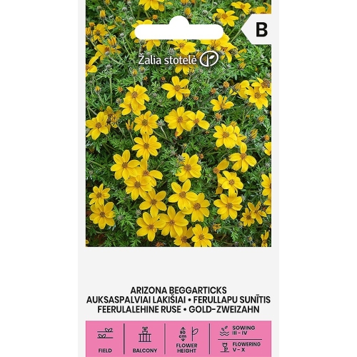 Bur Marigold frø