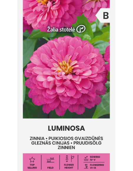 Sinnia LUMINOSA