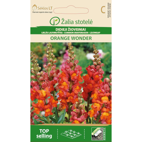 Prydløvemunn ORANGE WONDER