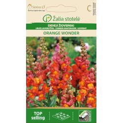 Prydløvemunn ORANGE WONDER