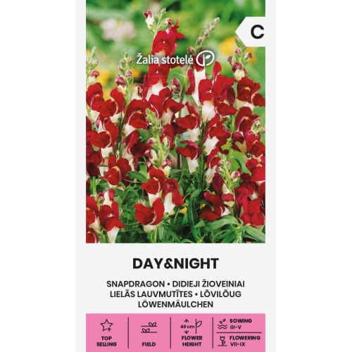 Prydløvemunn DAY&NIGHT