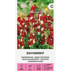 Prydløvemunn DAY&NIGHT