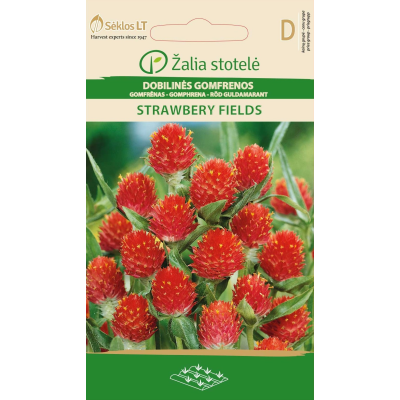 Kuleamarant STRAWBERRY FIELDS