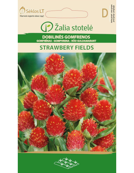 Kuleamarant STRAWBERRY FIELDS