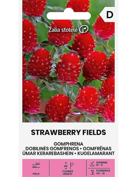 Kuleamarant STRAWBERRY FIELDS