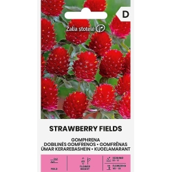Kuleamarant STRAWBERRY FIELDS