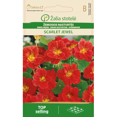 Blomkarse SCARLET JEWEL