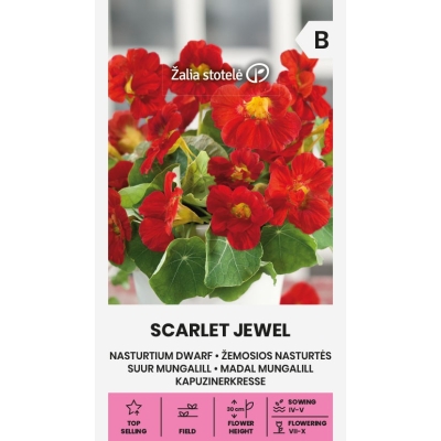 Blomkarse SCARLET JEWEL