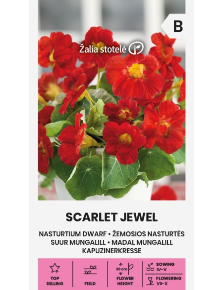 Blomkarse SCARLET JEWEL