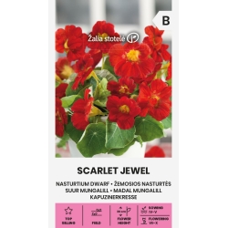 Blomkarse SCARLET JEWEL