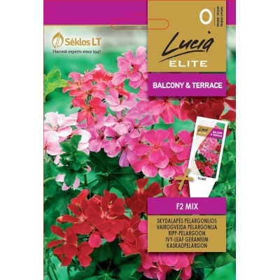 Pelargonium IVY F2 Mix