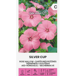 Sommerpoppelrose SILVER CUP