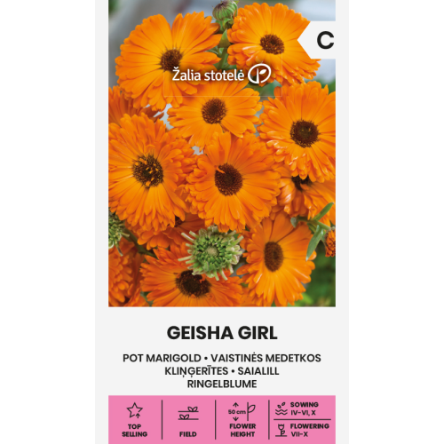 Ringblomst GEISHA GIRL