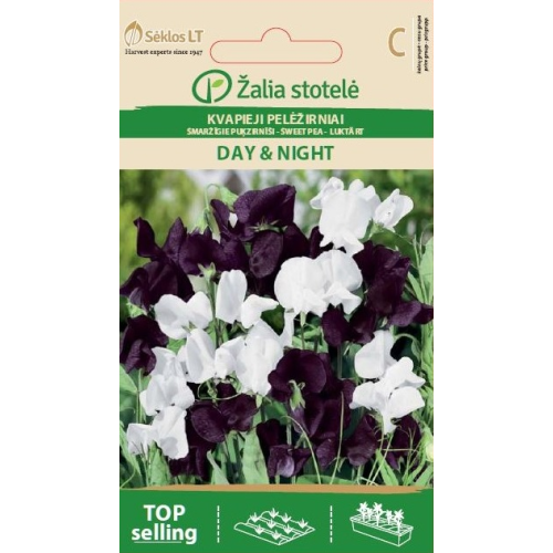 Blomsterert DAY AND NIGHT