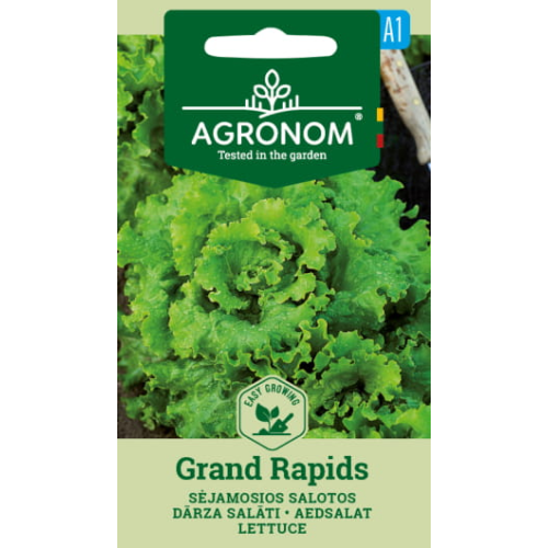 Salatfrø GRAND RAPIDS