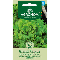Salatfrø GRAND RAPIDS