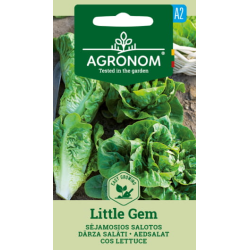 Salatfrø LITTLE GEM