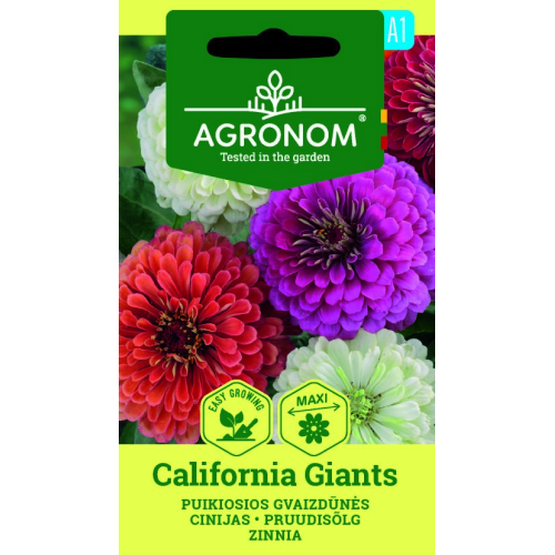 Sinnia СALIFORNIA GIANTS