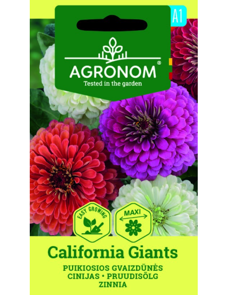 Sinnia СALIFORNIA GIANTS