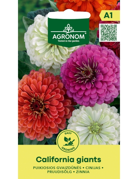 Sinnia СALIFORNIA GIANTS