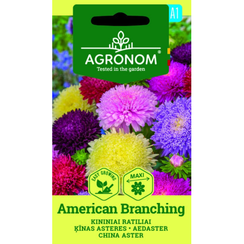 Sommerasters AMERICAN BRANCHING