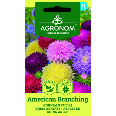 Sommerasters AMERICAN BRANCHING
