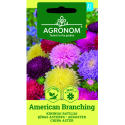 Sommerasters AMERICAN BRANCHING