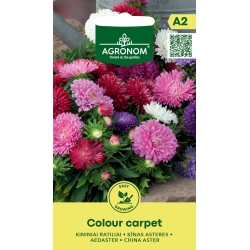 Sommerasters COLOUR CARPET mix