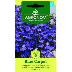 Kantlobelia BLUE CARPET