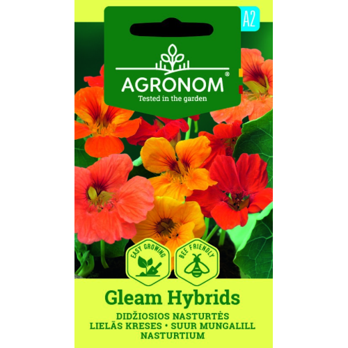 Blomkarse GLEAM HYBRIDS