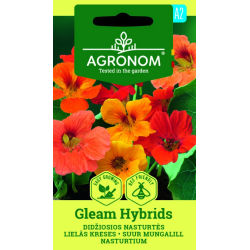 Blomkarse GLEAM HYBRIDS
