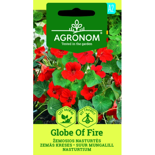 Blomkarse GLOBE OF FIRE