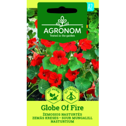 Blomkarse GLOBE OF FIRE