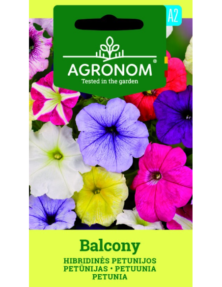Petunia BALCONY
