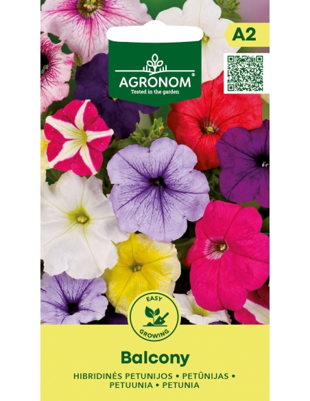 Petunia BALCONY