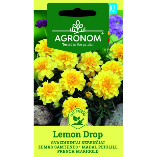 Fløyelsblomst FRENCH LEMON DROP