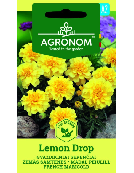 Fløyelsblomst FRENCH LEMON DROP