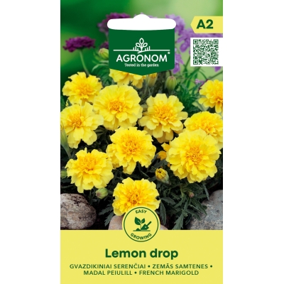 Fløyelsblomst FRENCH LEMON DROP