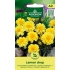 Fløyelsblomst FRENCH LEMON DROP