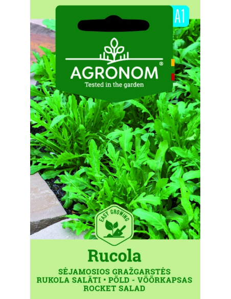 Ruccola ROCKET