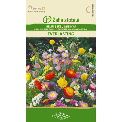 Blomsterblanding EVERLASTING