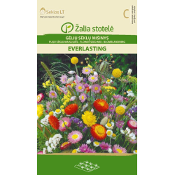Blomsterblanding EVERLASTING