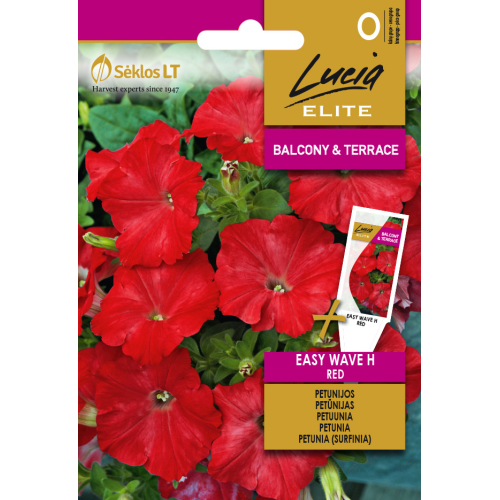 Petunia EASY WAVE H RED