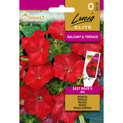 Petunia EASY WAVE H RED