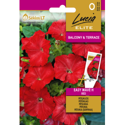 Petunia EASY WAVE H RED
