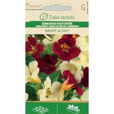 Blomkarse NIGHT & DAY